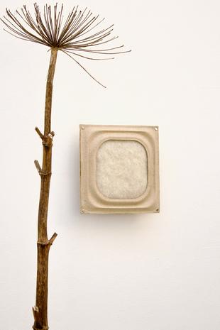 Anna Maier