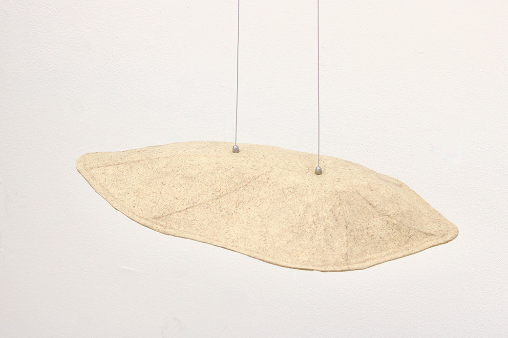 Anna Maier